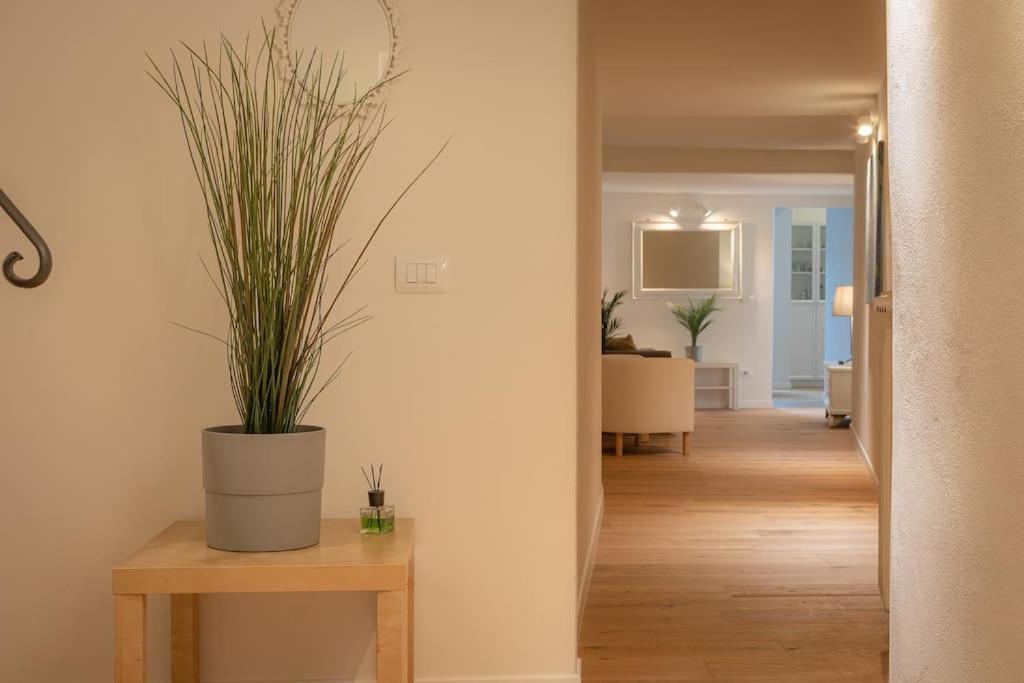 Borgo Pinti'S Duplex Apartment Флоренція Екстер'єр фото